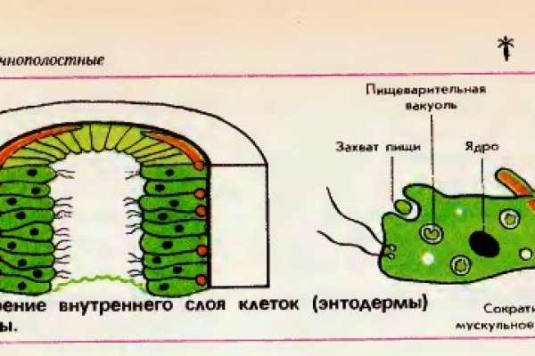 Ссылки на сайты даркнета