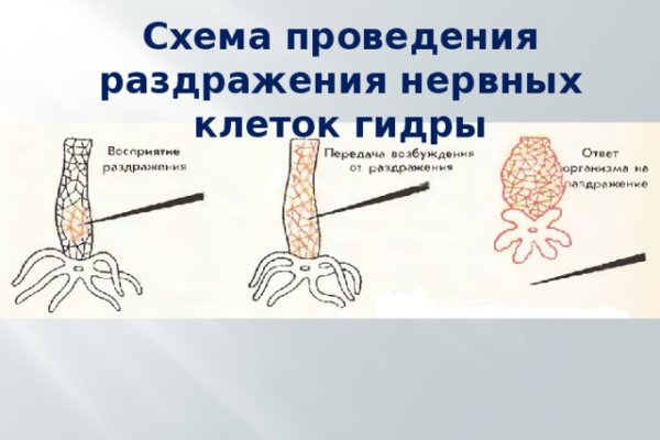 Kraken зеркало тор